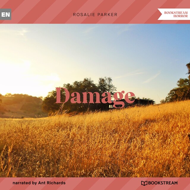 Book cover for Damage (Unabridged)