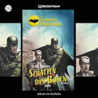 Die Schwarze Fledermaus, Folge 20: Schatten des Bösen