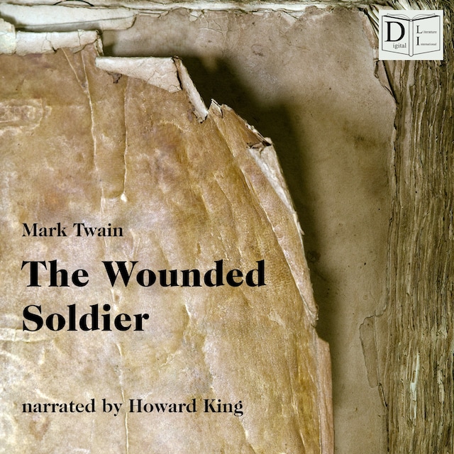 Book cover for The Wounded Soldier
