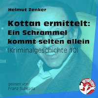 Kottan ermittelt: Ein Schrammel kommt selten allein