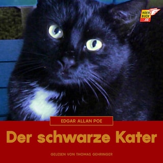 Der schwarze Kater als Hörbuch