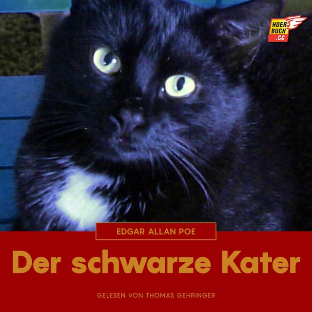 Book cover for Der schwarze Kater