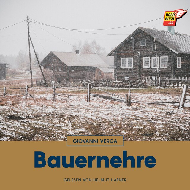 Book cover for Bauernehre
