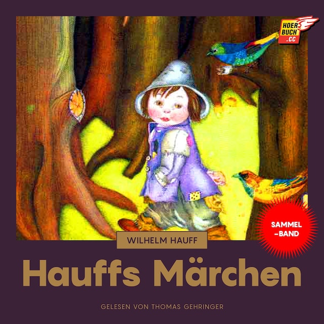Couverture de livre pour Hauffs Märchen