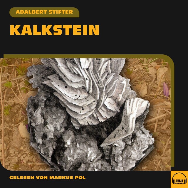 Copertina del libro per Kalkstein