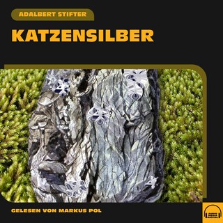 Katzensilber als Hörbuch