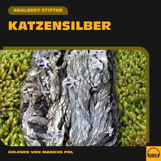 Book cover for Katzensilber