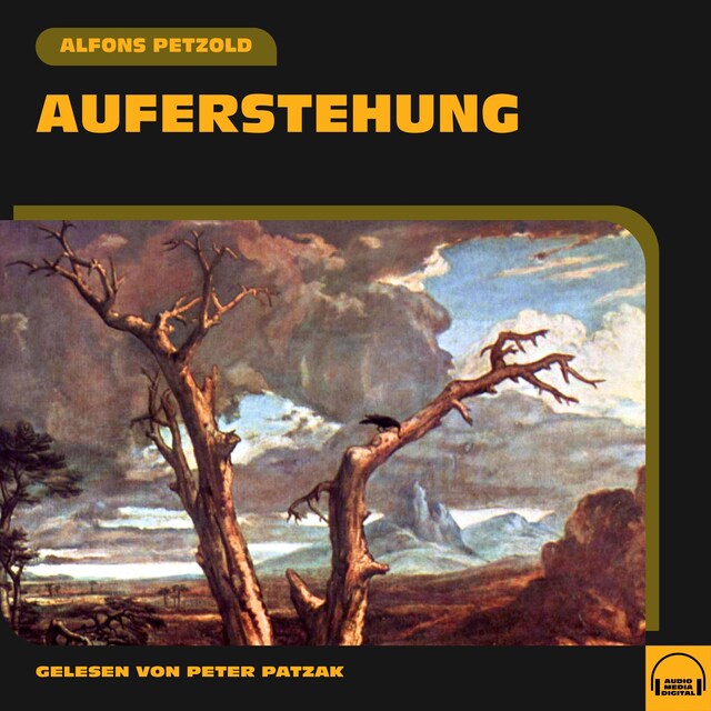 Copertina del libro per Auferstehung