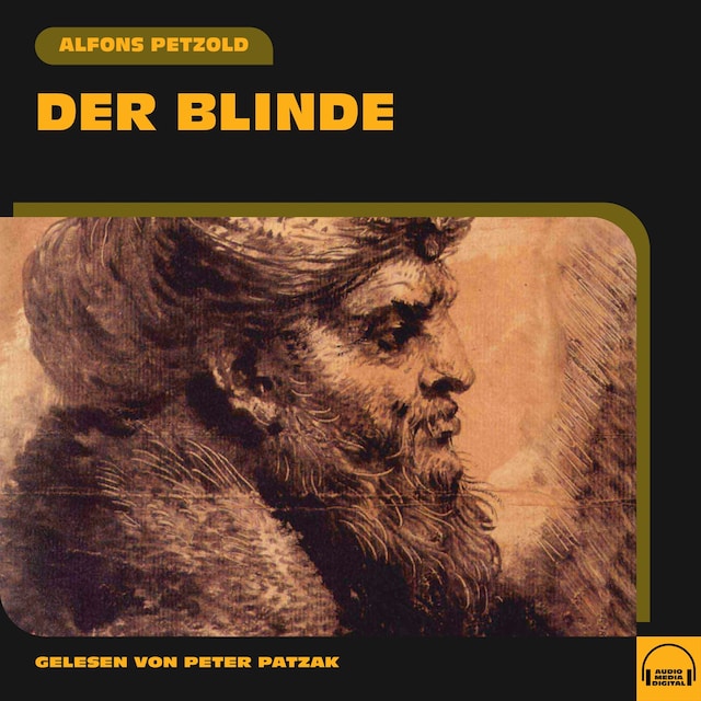 Book cover for Der Blinde