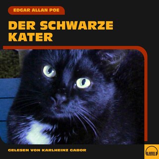 Der schwarze Kater als Hörbuch