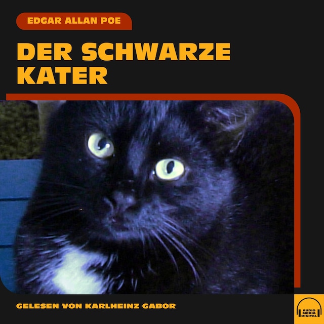 Book cover for Der schwarze Kater