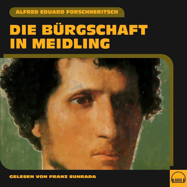 Book cover for Die Bürgschaft in Meidling