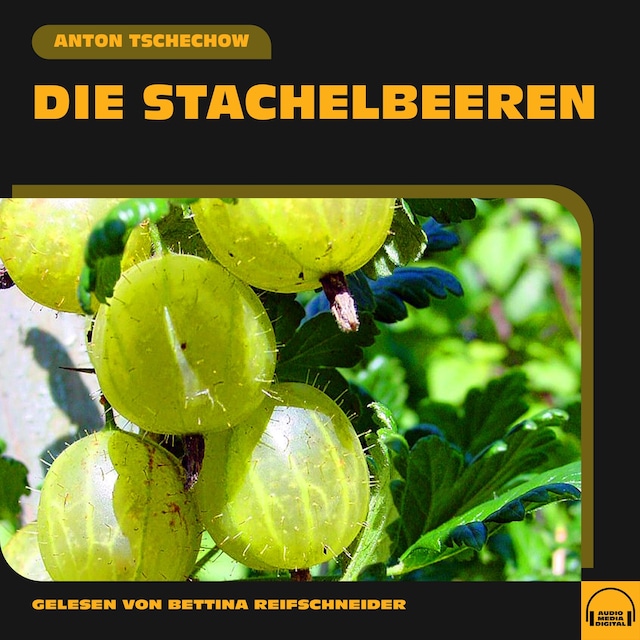 Book cover for Die Stachelbeeren