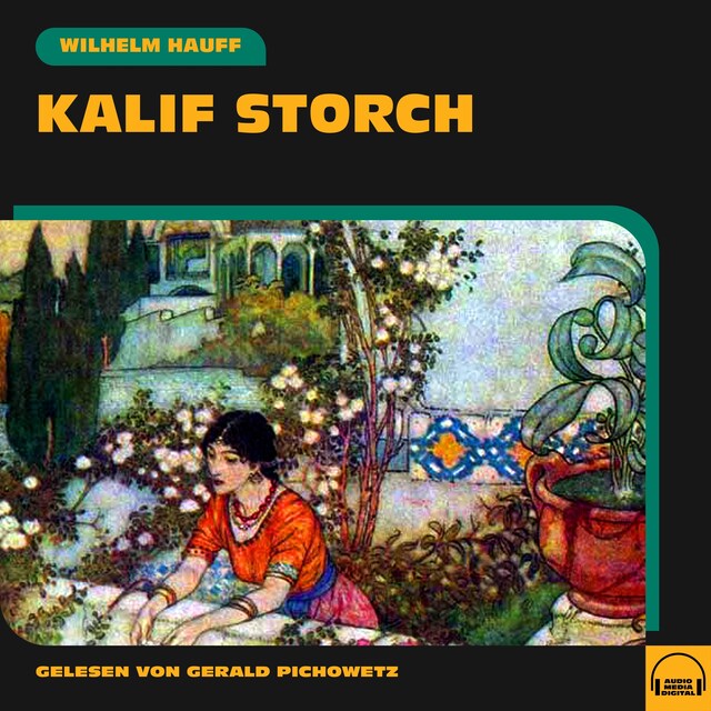 Book cover for Kalif Storch