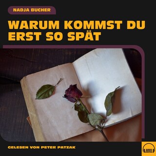 Warum kommst du erst so spät als Hörbuch