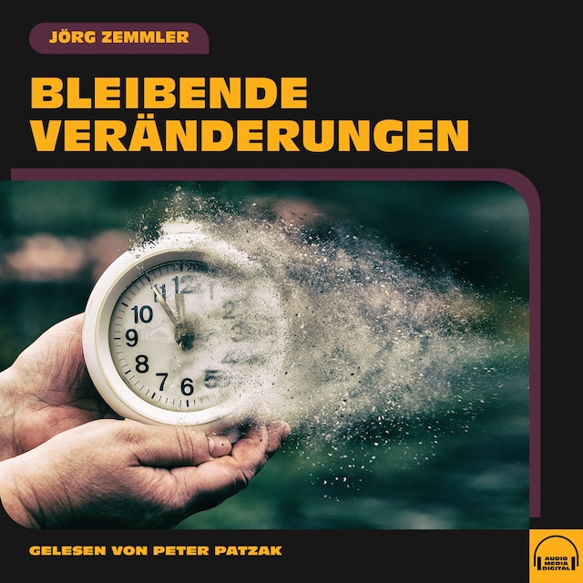 Book cover for Bleibende Veränderungen