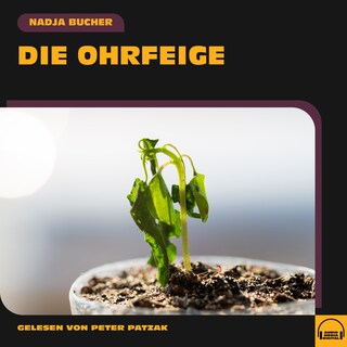 Die Ohrfeige als Hörbuch
