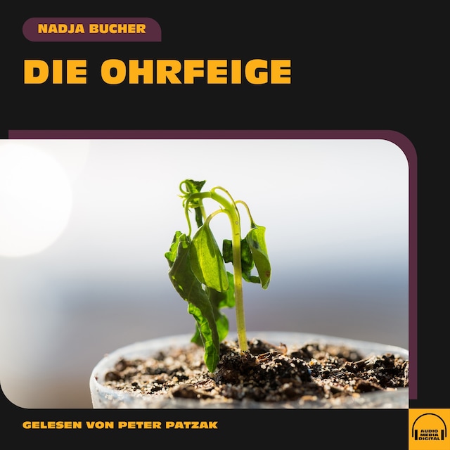 Book cover for Die Ohrfeige