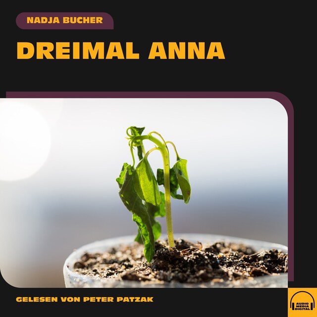 Book cover for Dreimal Anna