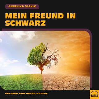 Mein Freund in Schwarz als Hörbuch