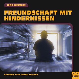 Freundschaft mit Hindernissen als Hörbuch