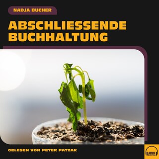 Abschließende Buchhaltung als Hörbuch
