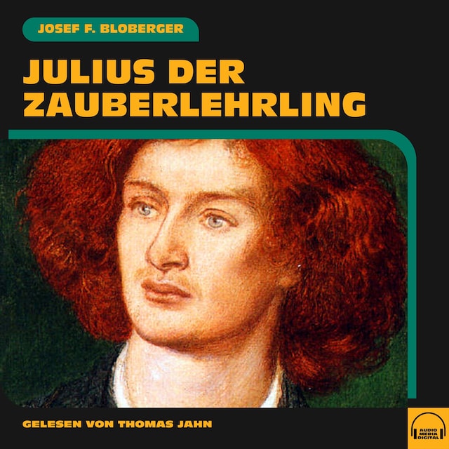 Book cover for Julius der Zauberlehrling