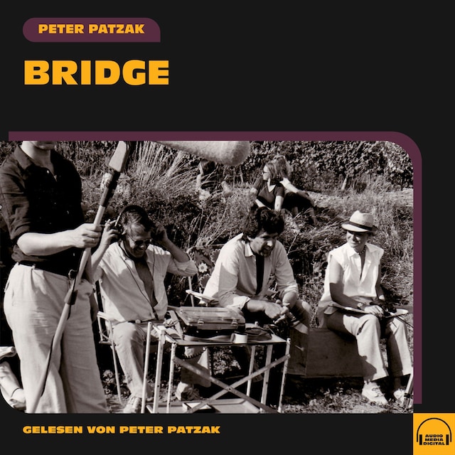 Okładka książki dla Bridge