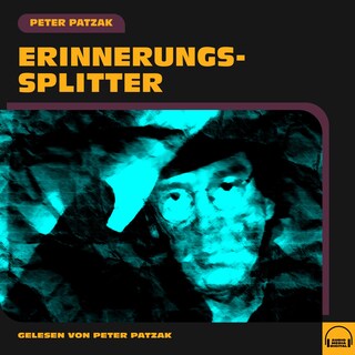 Erinnerungssplitter als Hörbuch
