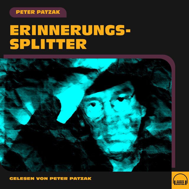 Book cover for Erinnerungssplitter