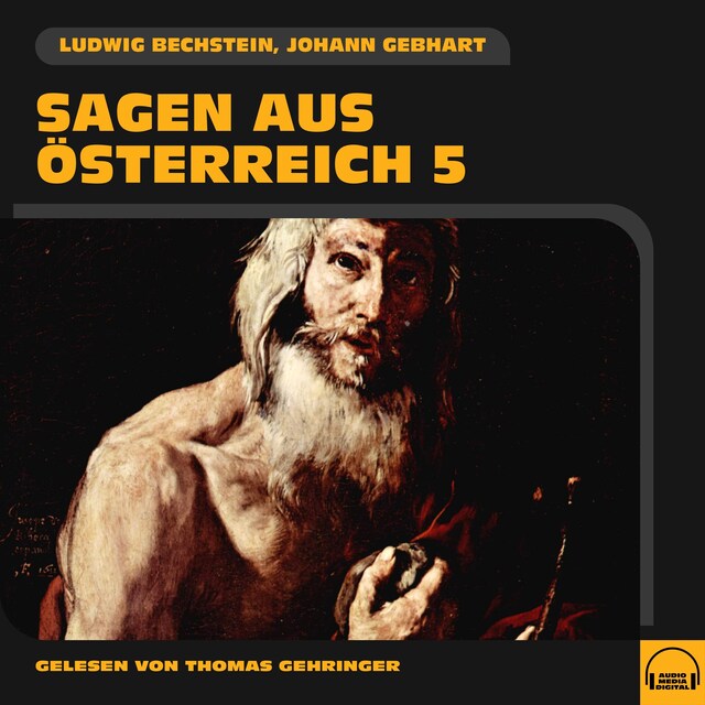 Copertina del libro per Sagen aus Österreich 5