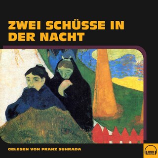 Zwei Schüsse in der Nacht als Hörbuch