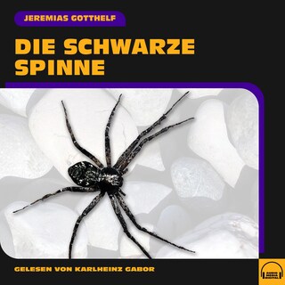 Die schwarze Spinne als Hörbuch
