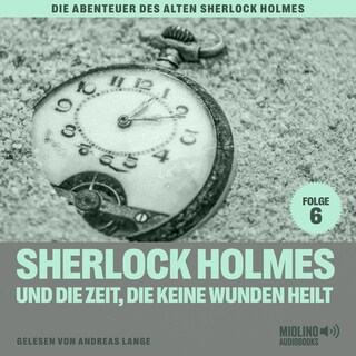 Sherlock Holmes und die Zeit, die keine Wunden heilt (Die Abenteuer des alten Sherlock Holmes, Folge 6) als Hörbuch