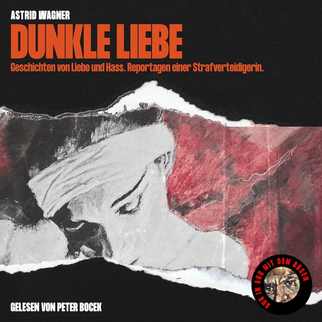 Copertina del libro per Dunkle Liebe