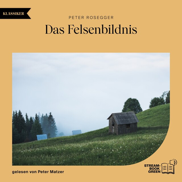 Book cover for Das Felsenbildnis