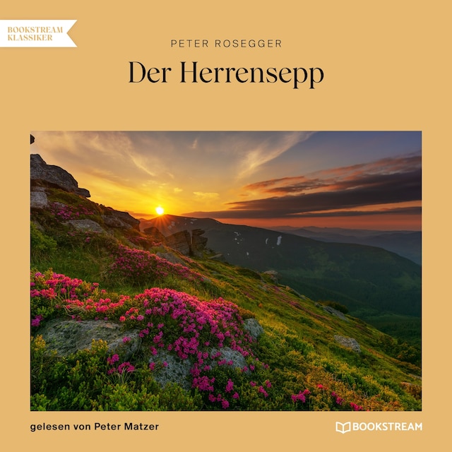 Book cover for Der Herrensepp