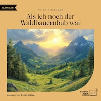 Als ich noch der Waldbauernbub war