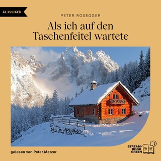 Als ich auf den Taschenfeitel wartete als Hörbuch
