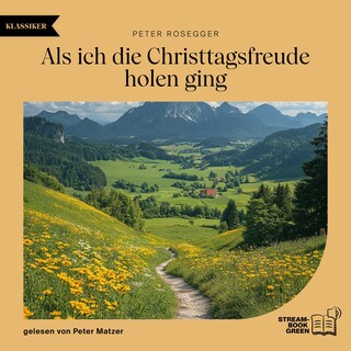 Als ich die Christtagsfreude holen ging als Hörbuch