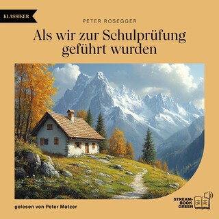 Als wir zur Schulprüfung geführt wurden als Hörbuch