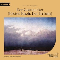 Der Gottsucher (Erstes Buch: Der Irrtum)