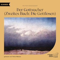 Der Gottsucher (Zweites Buch: Die Gottlosen)