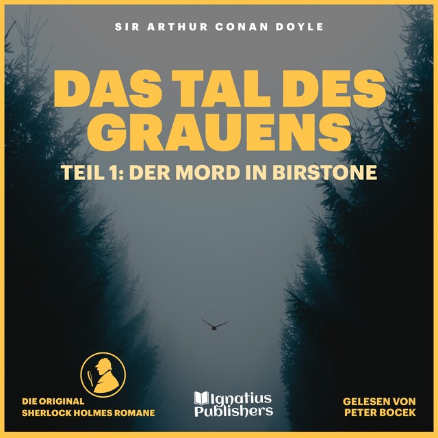 Boekomslag van Das Tal des Grauens (Teil 1: Der Mord in Birstone)