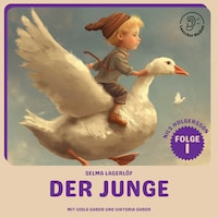 Der Junge (Nils Holgersson, Folge 1)