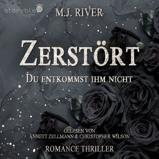 Zerstört - Du entkommst ihm nicht als Hörbuch