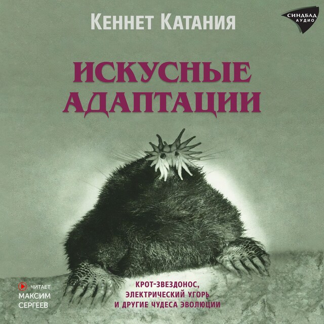 Book cover for Искусные адаптации