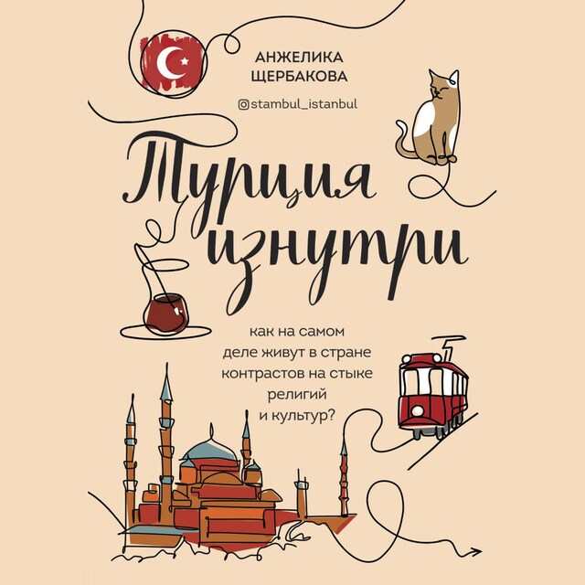 Book cover for Турция изнутри. Как на самом деле живут в стране контрастов на стыке религий и культур?