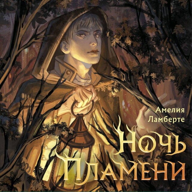 Book cover for Ночь пламени