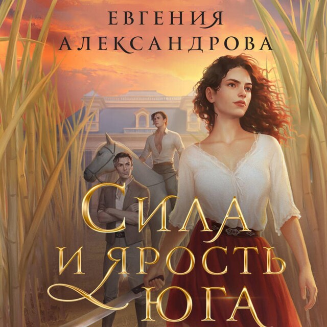 Book cover for Сила и ярость Юга